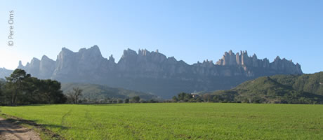 Unsere Büroräume und unser Werk befinden sich direkt am Fuße des berühmten Montserrat-Gebirges. Montserrat