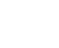 Magneti_Marelli